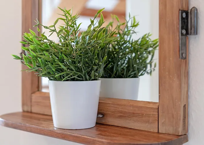 Appartement Strandschloesschen 31 *